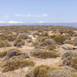 3 Morrón de Mariné